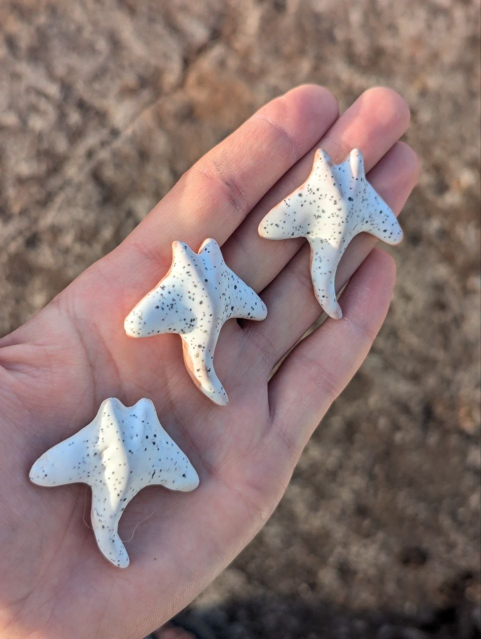 Stingray / Flower — Magnet / Pin / Brooch / Pendant — 2