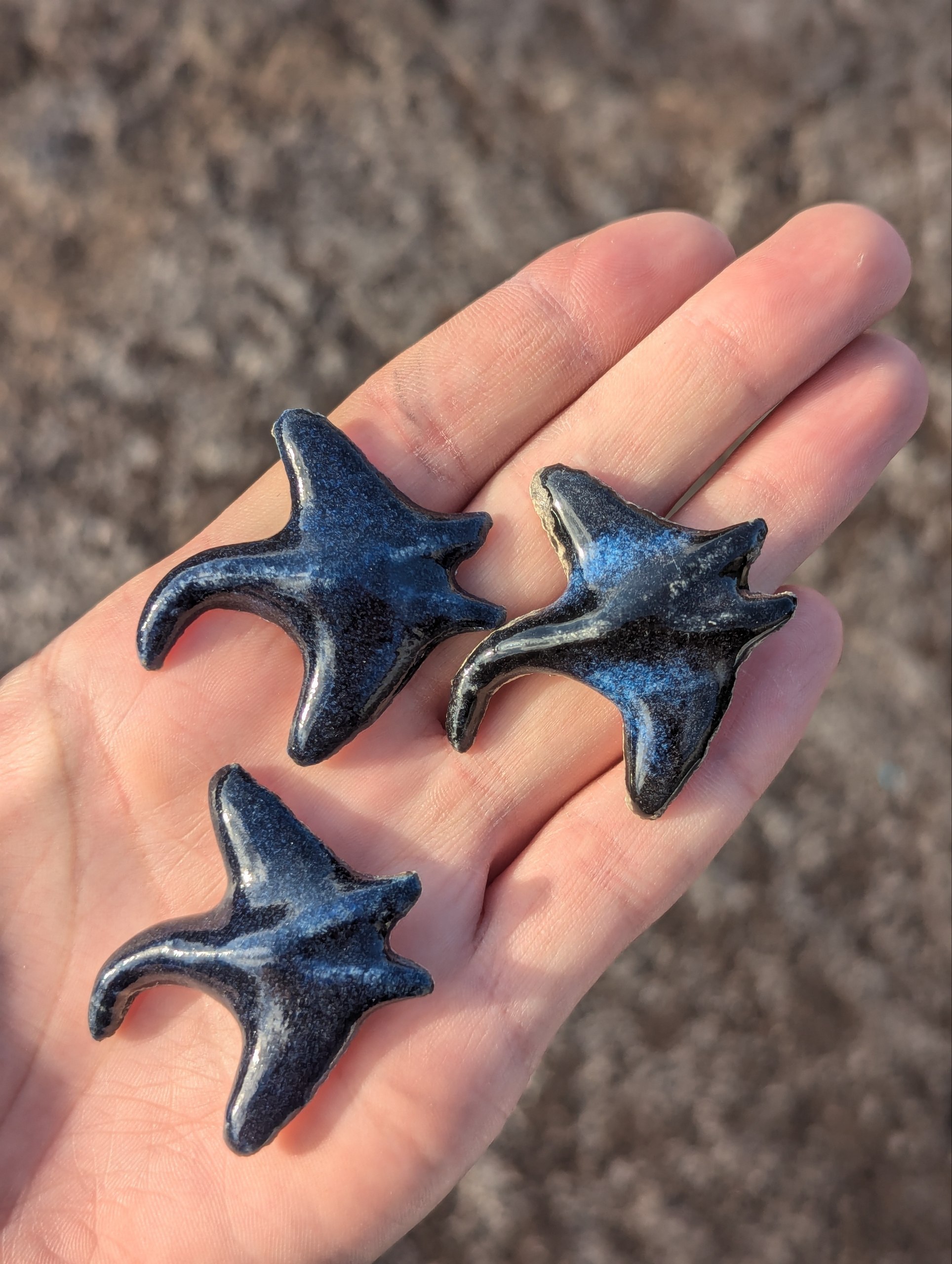 Stingray / Flower — Magnet / Pin / Brooch / Pendant — 3