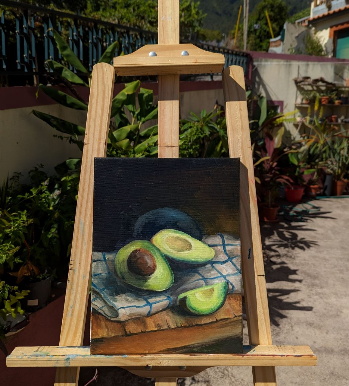 Avocados Still Life — photo 1