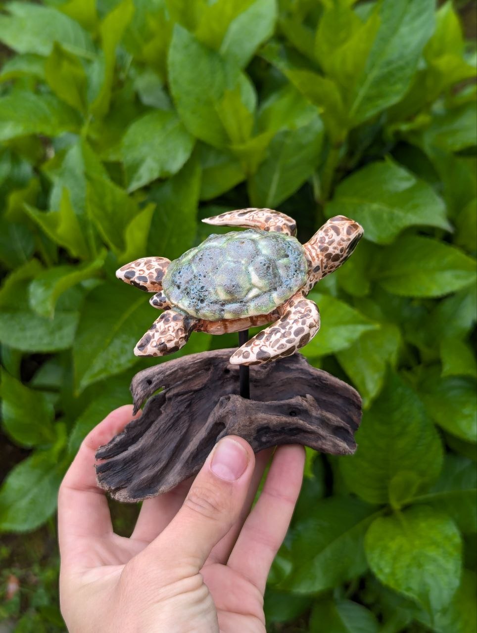 Ceramic Turtle — Driftwood Stand