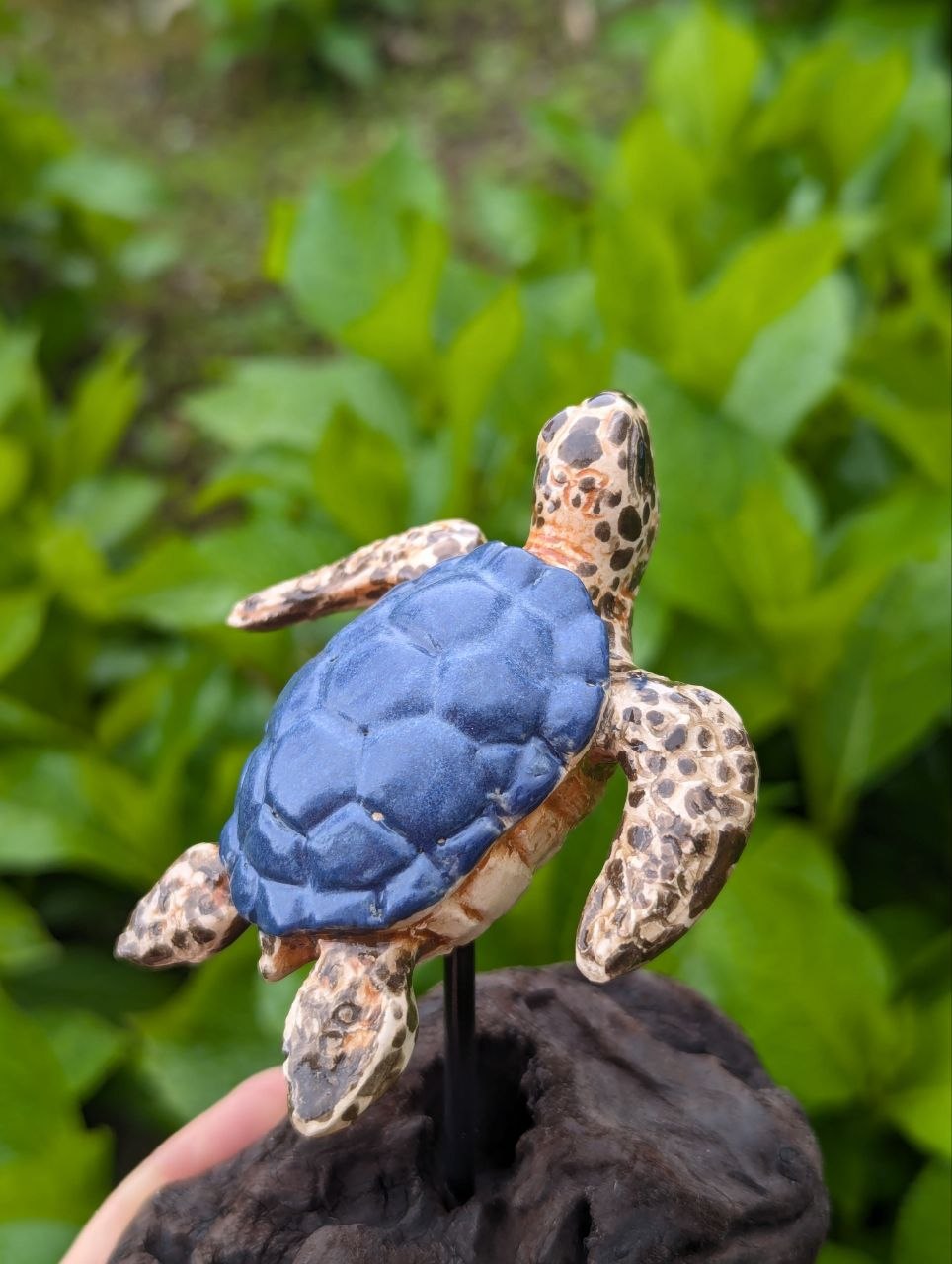 Ceramic Turtle — Driftwood Stand — 3