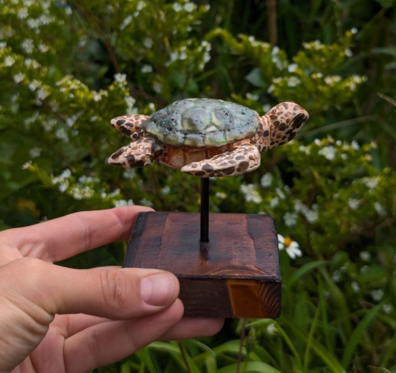 Ceramic Turtle — Wooden Stand