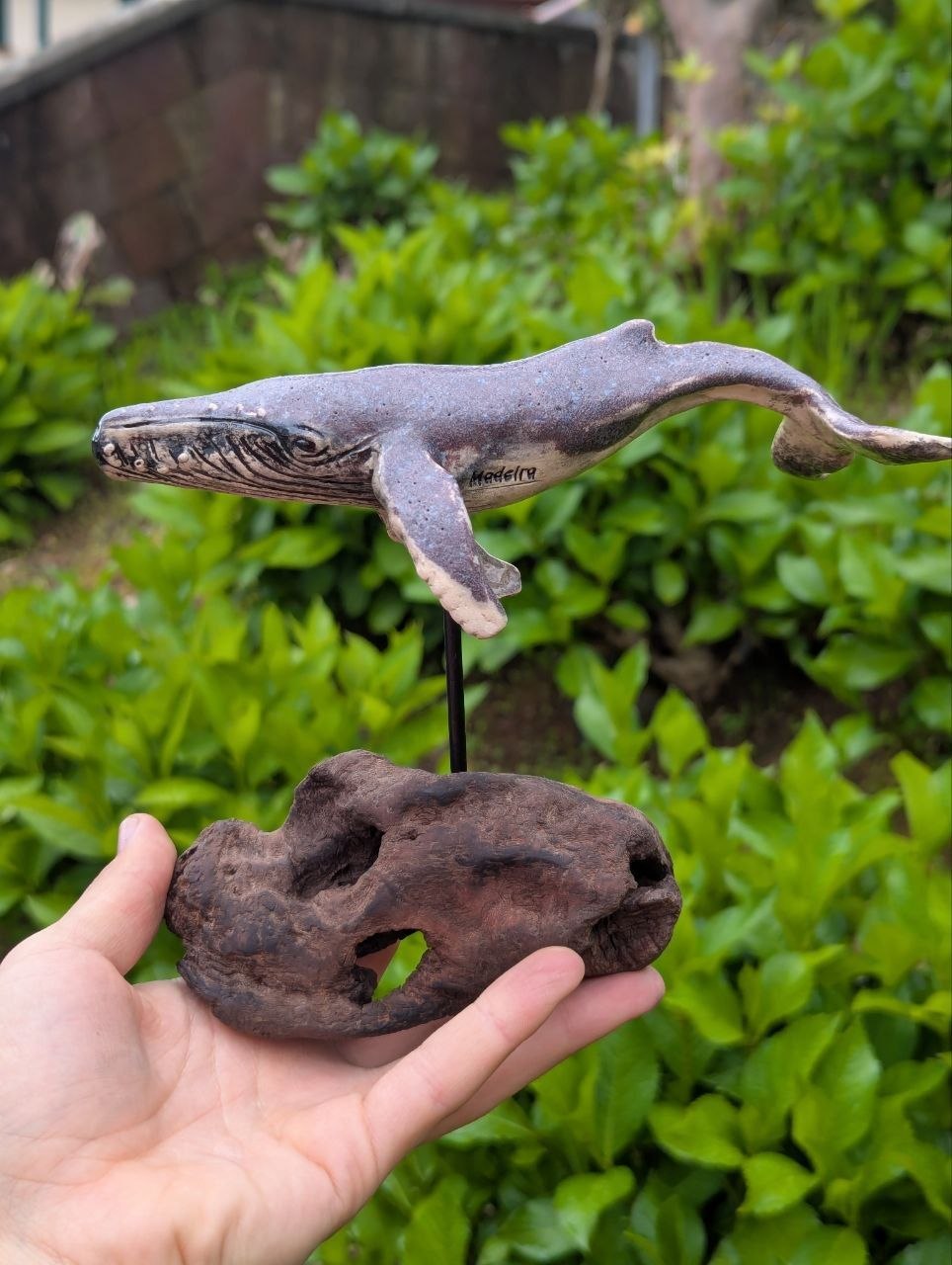Medium Ceramic Whale — Driftwood Stand — 3